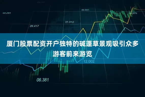 厦门股票配资开户独特的碱蓬草景观吸引众多游客前来游览