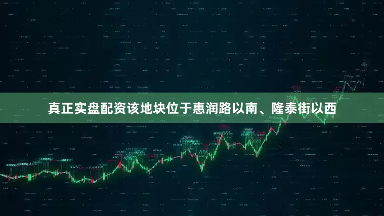 真正实盘配资该地块位于惠润路以南、隆泰街以西